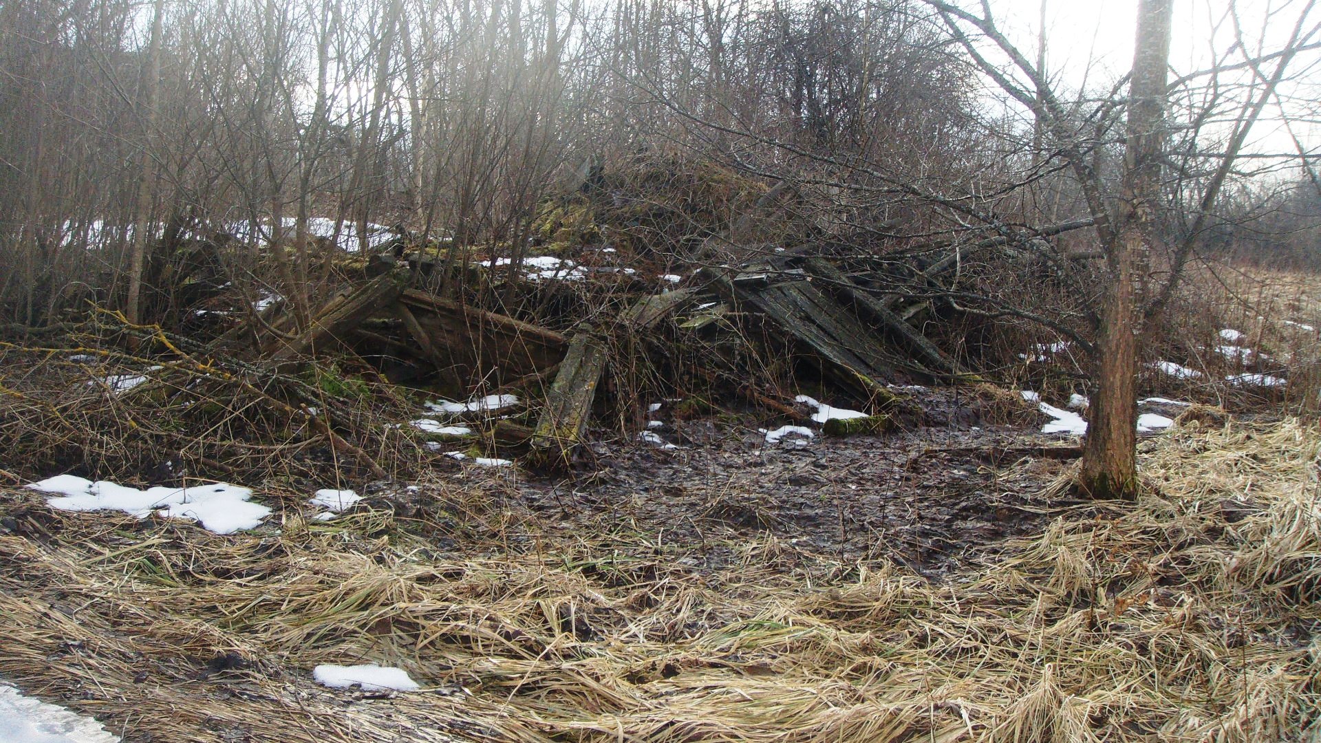 DSC03573.JPG