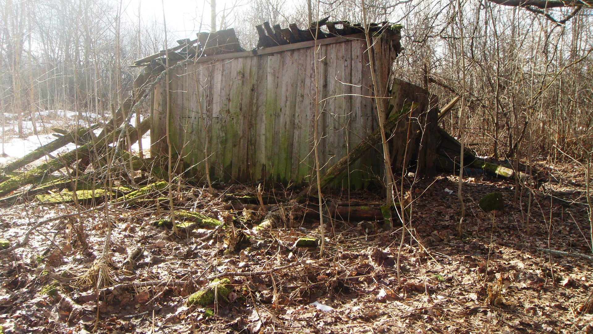 DSC03574.JPG
