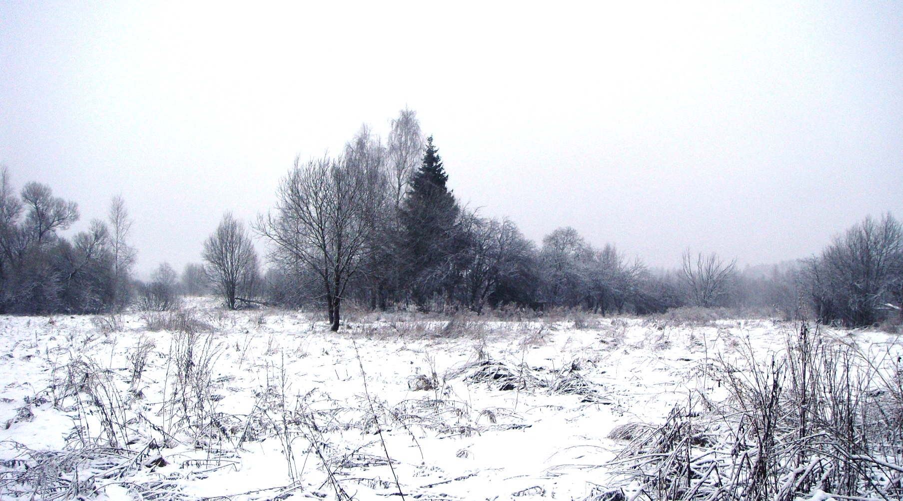 DSC03578.JPG