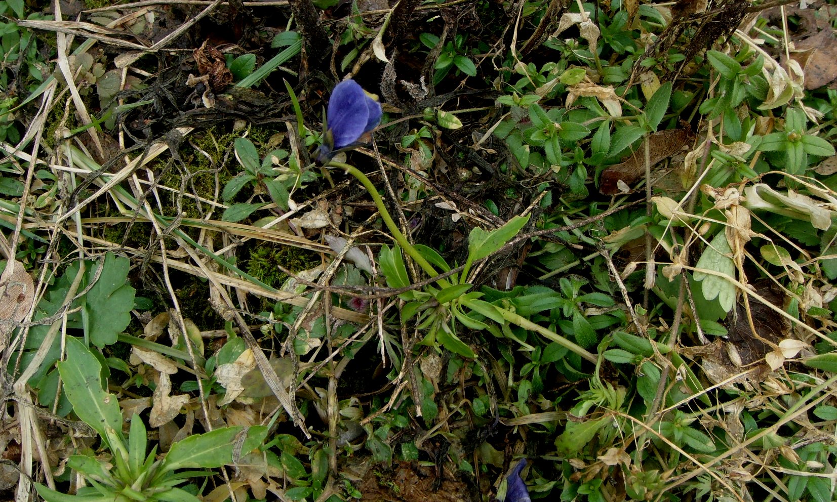 DSC03591.JPG