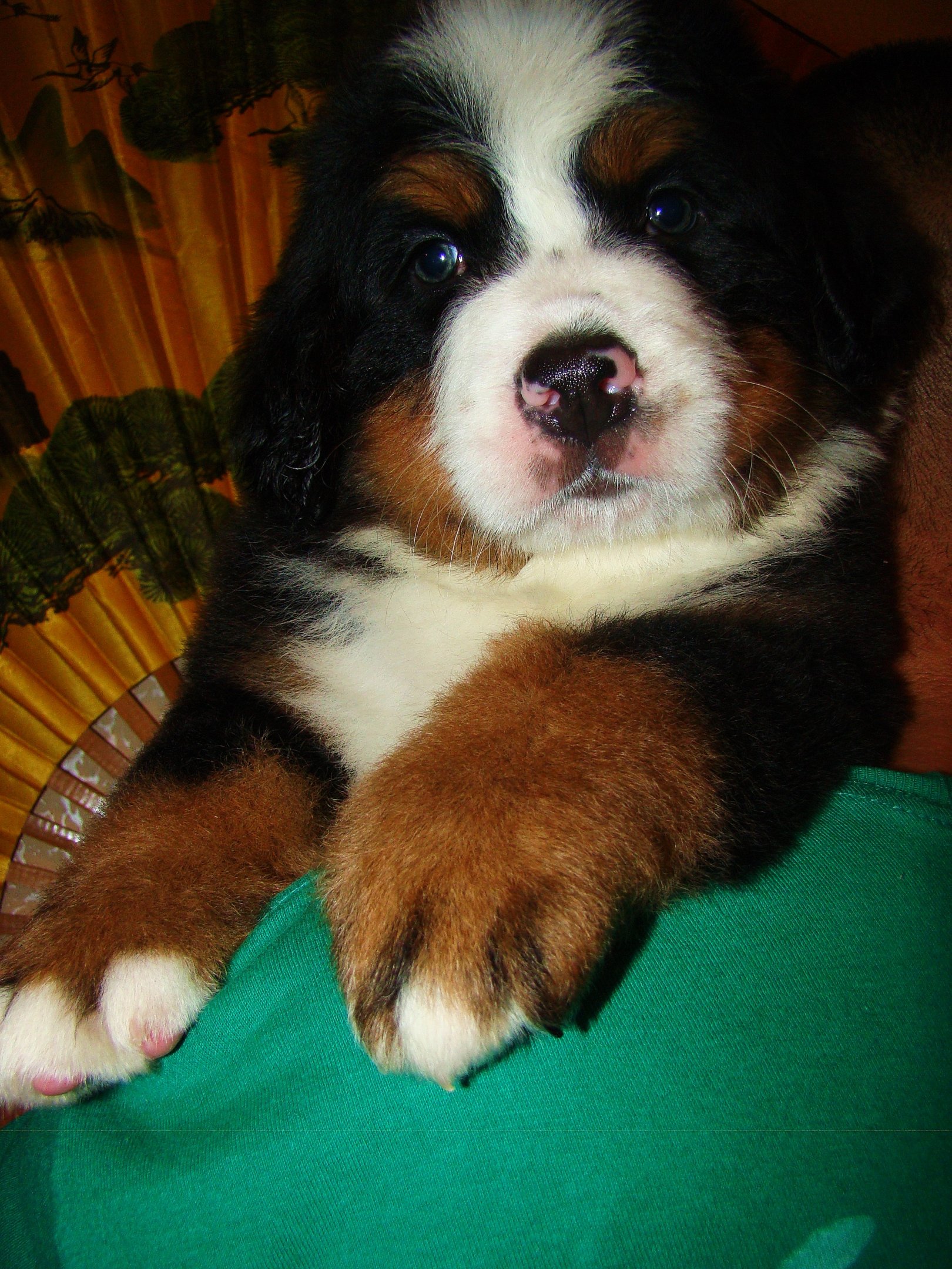 DSC03712.JPG