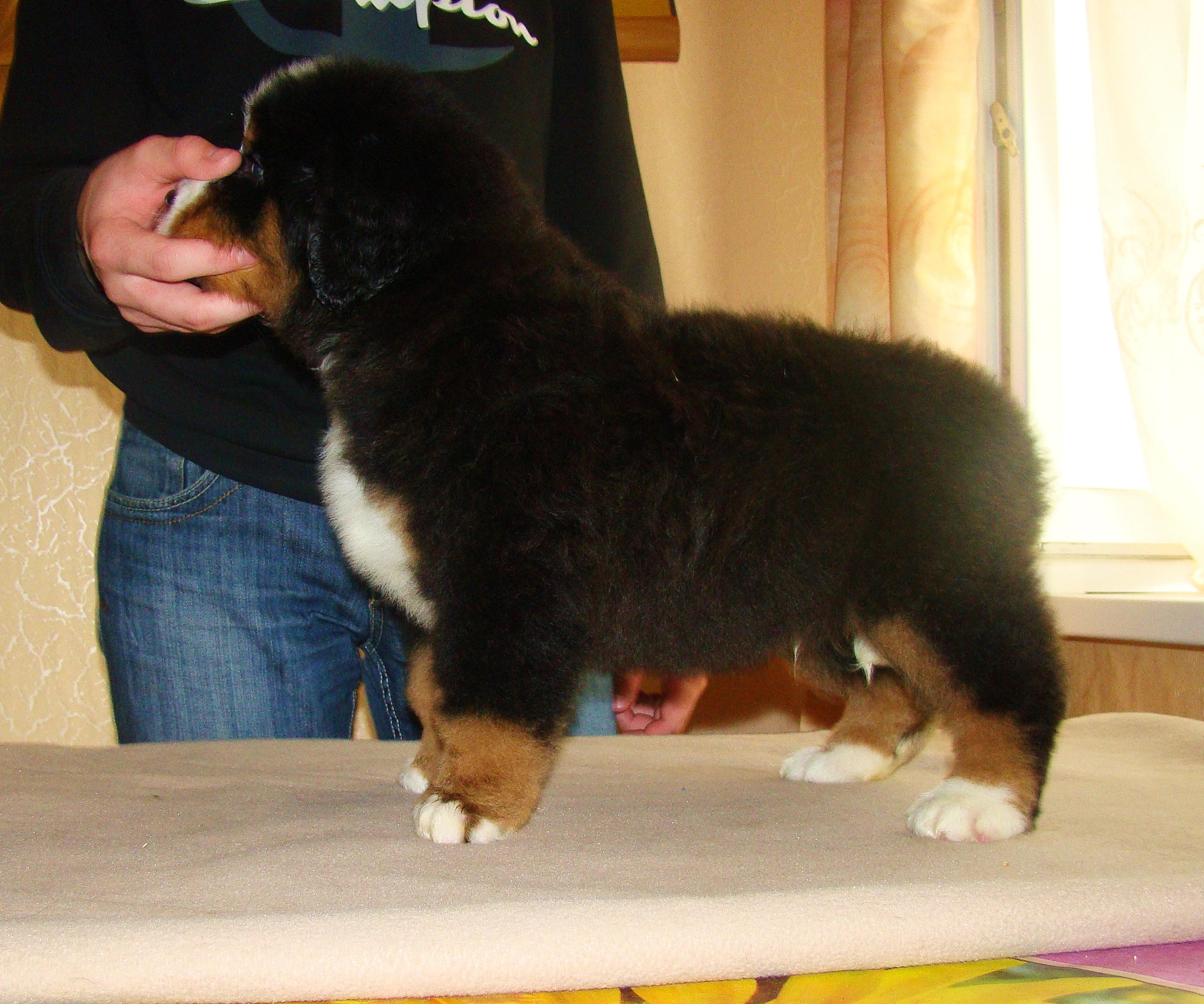 DSC03762.JPG