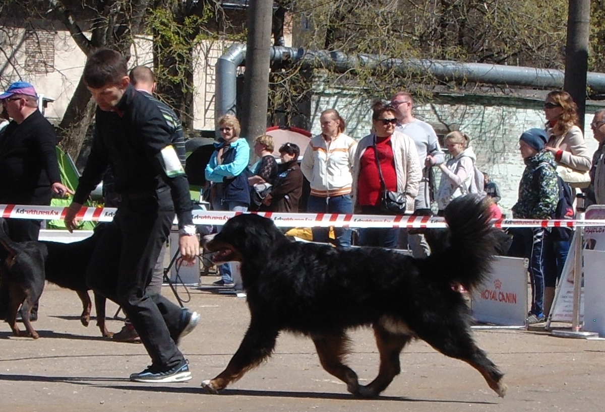 DSC03776.JPG