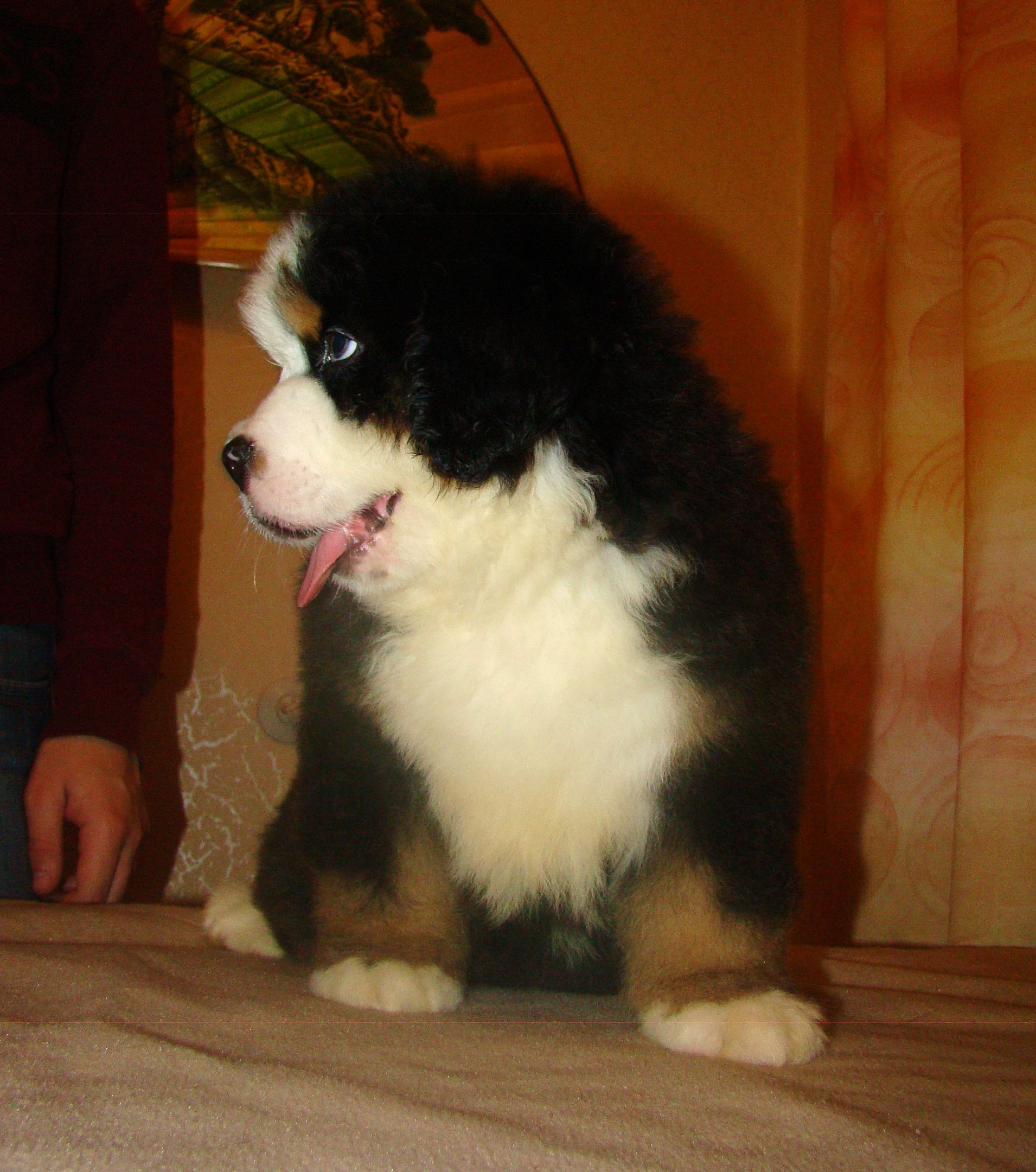 DSC03897.JPG
