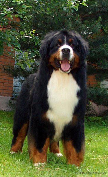 dsc04165_0.jpg