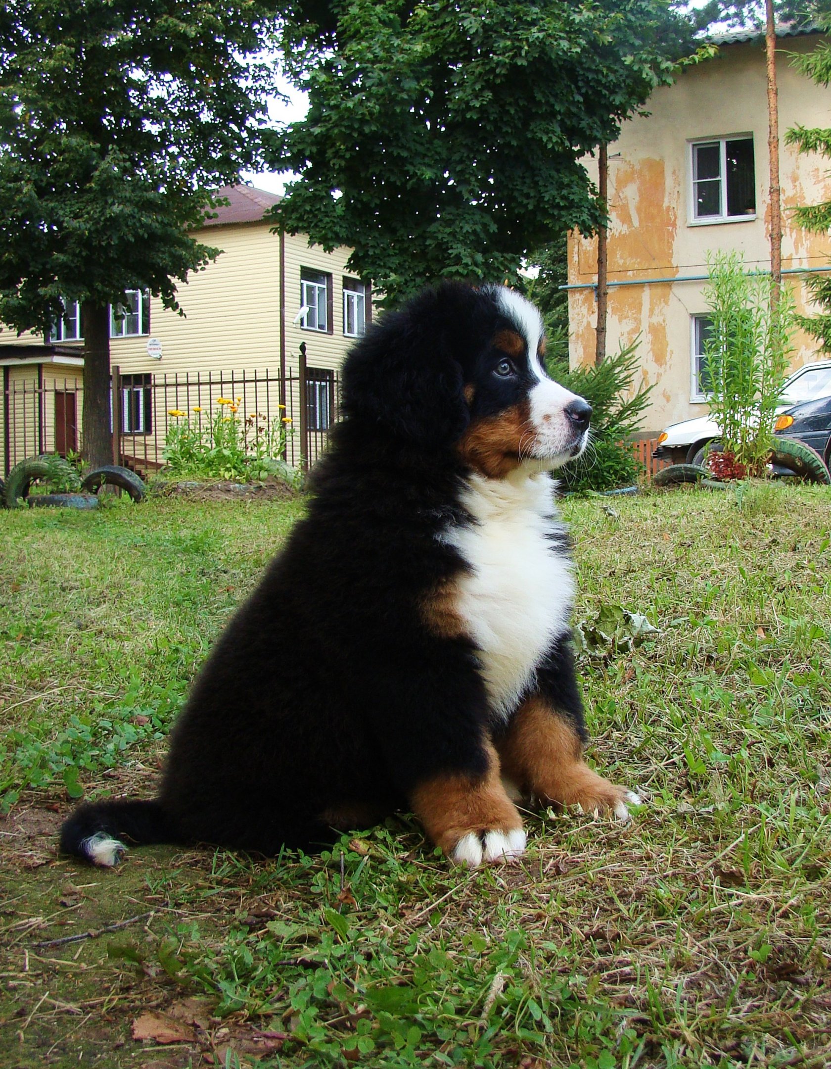 DSC04204.JPG