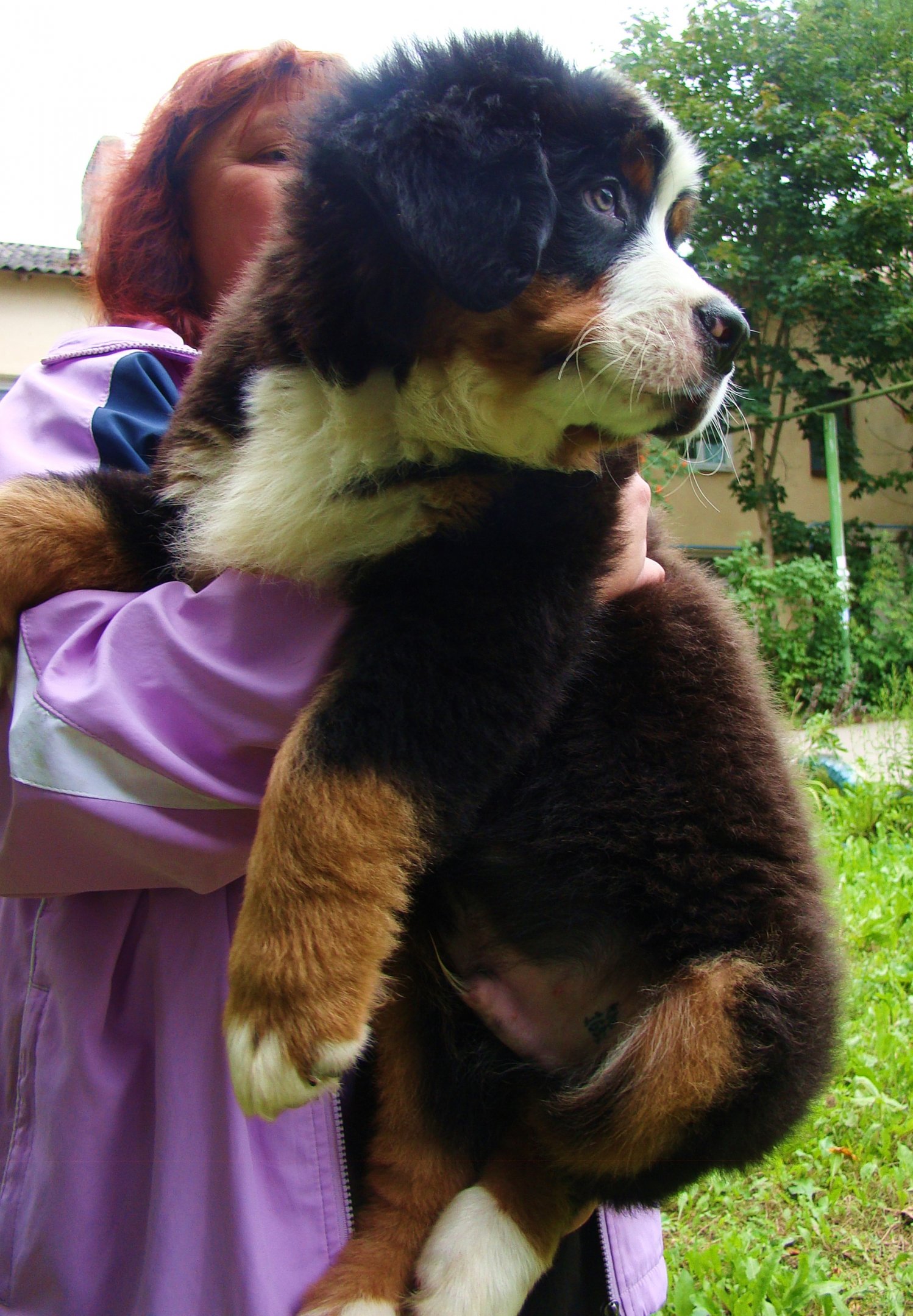 DSC04324.JPG