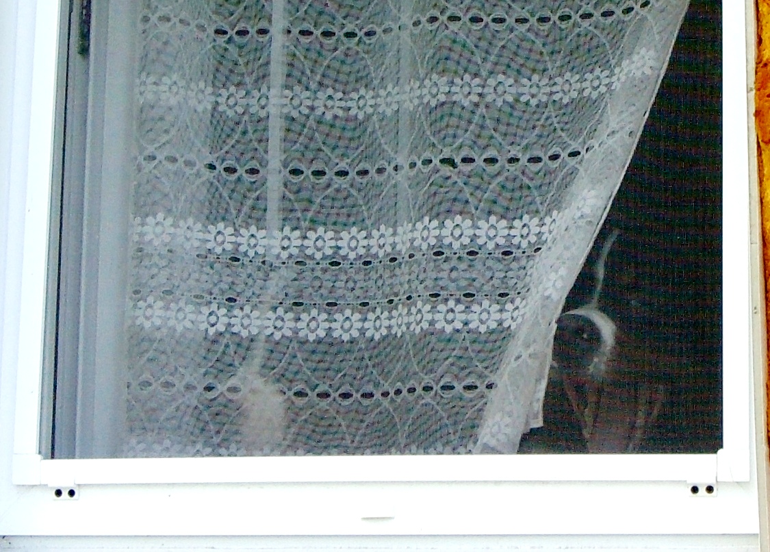 DSC04414.JPG