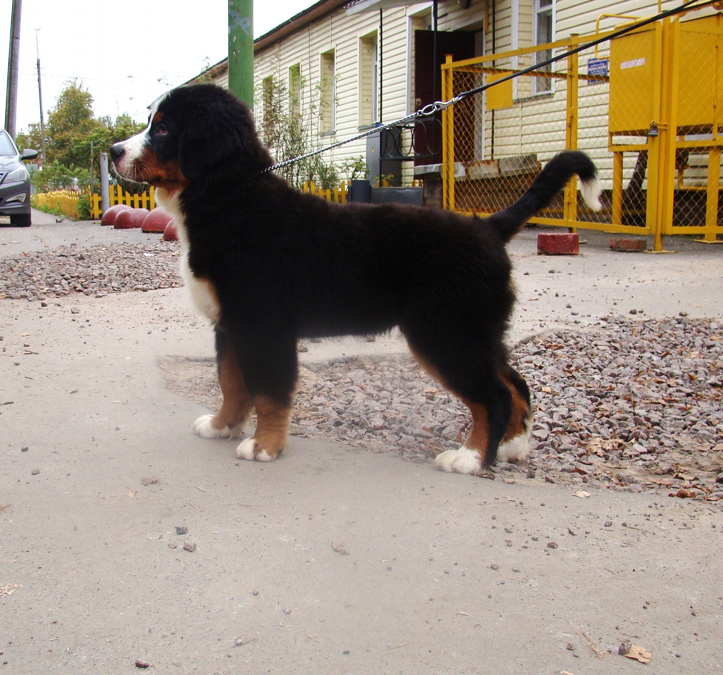 DSC04650.JPG