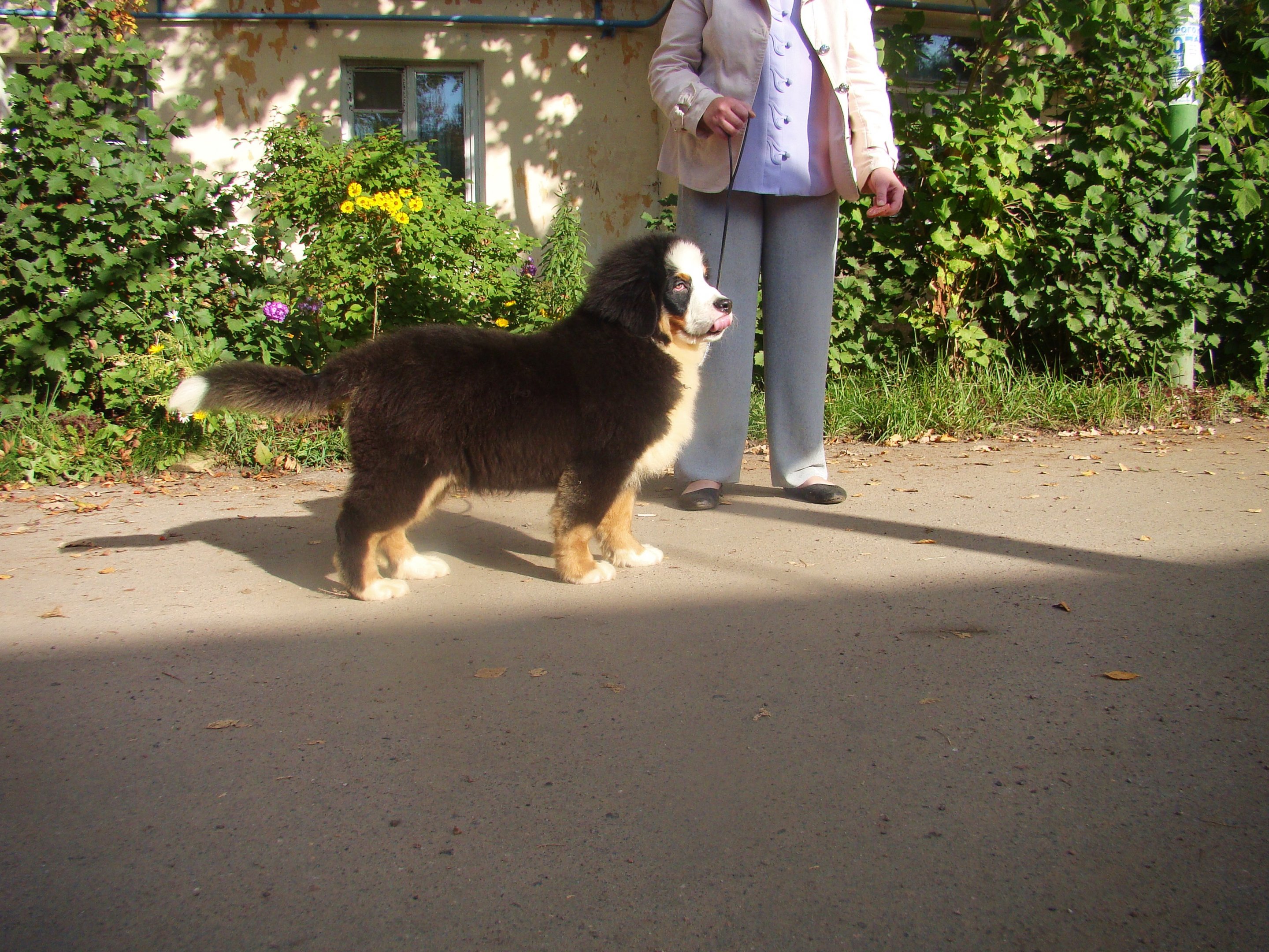 DSC04697.JPG