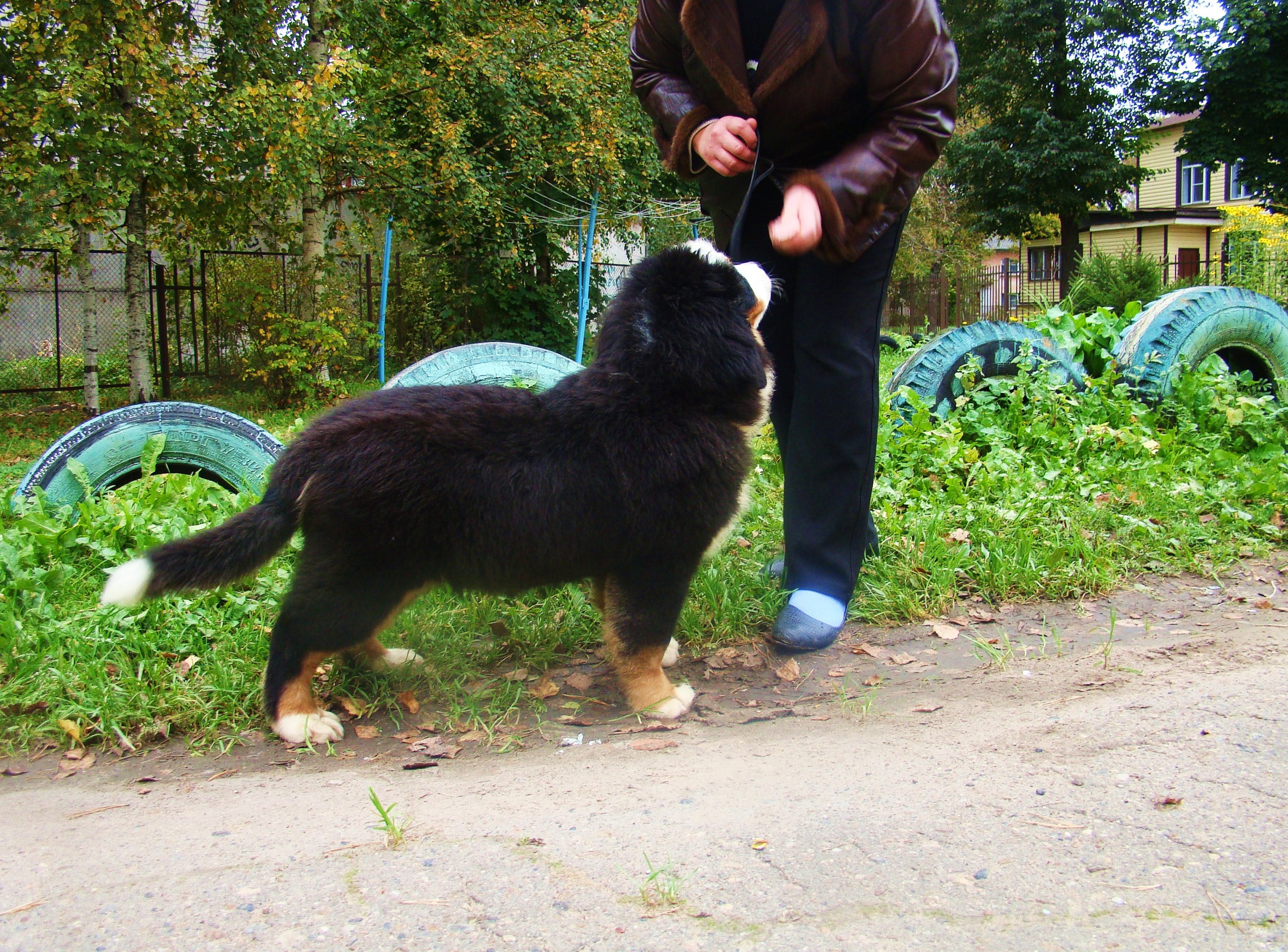 DSC04740.JPG