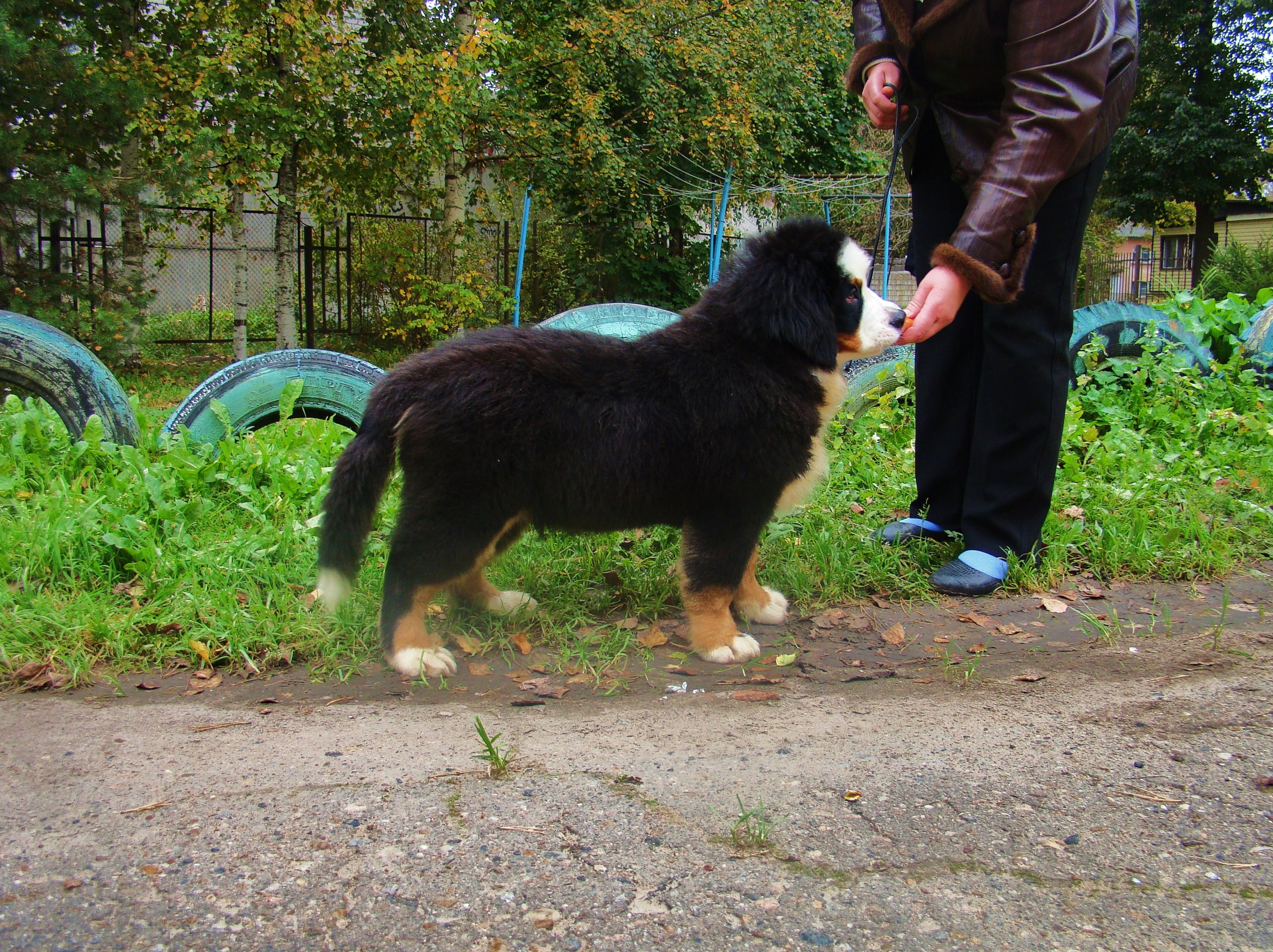 DSC04742.JPG