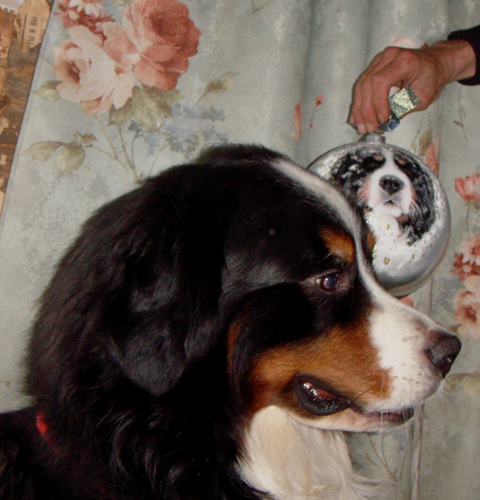 DSC05010.JPG