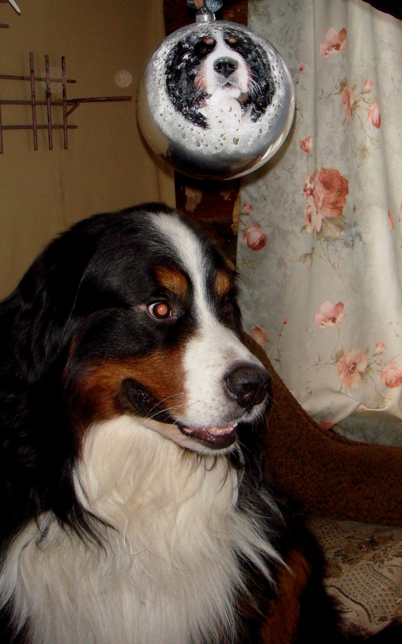 DSC05013.JPG