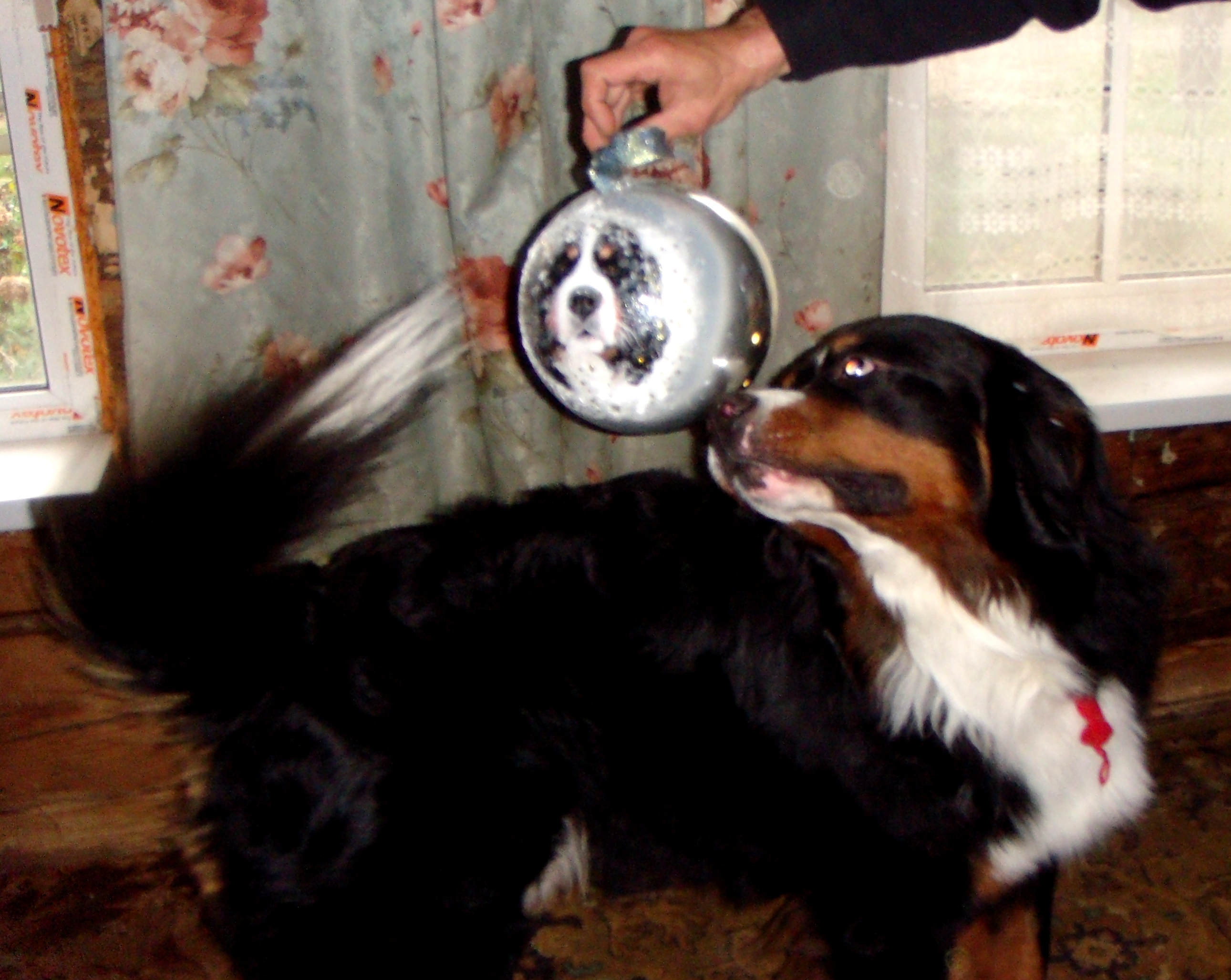 DSC05016.JPG