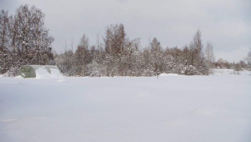 DSC05606.JPG