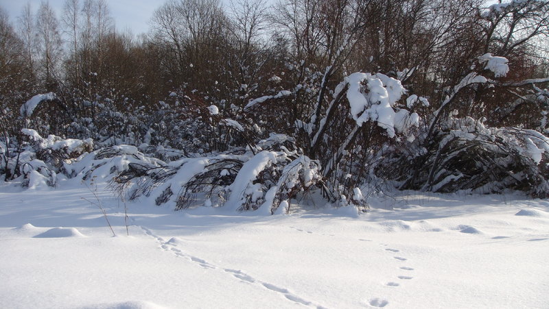 DSC05767.JPG