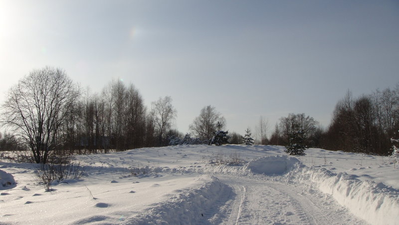 DSC05768.JPG