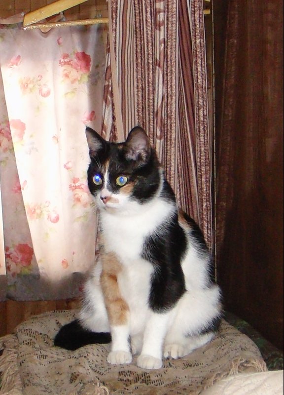 DSC05801.JPG