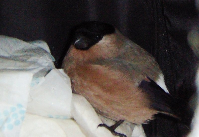 DSC058041.JPG