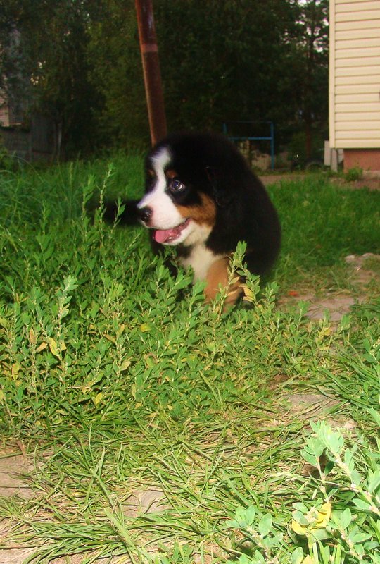 DSC05811.JPG
