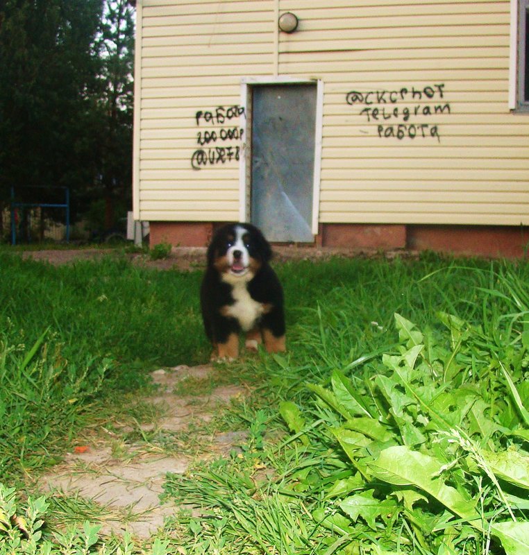 DSC05812.JPG