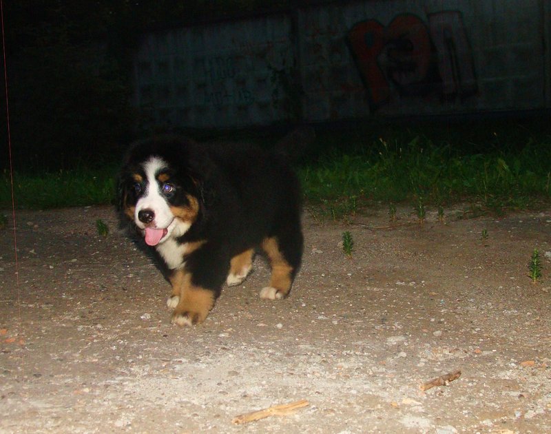 DSC05852.JPG