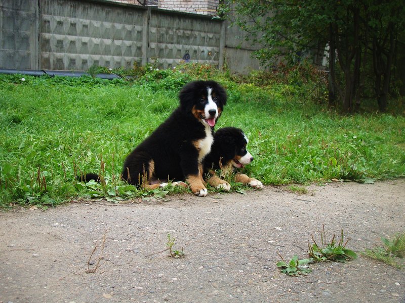 DSC05917.JPG
