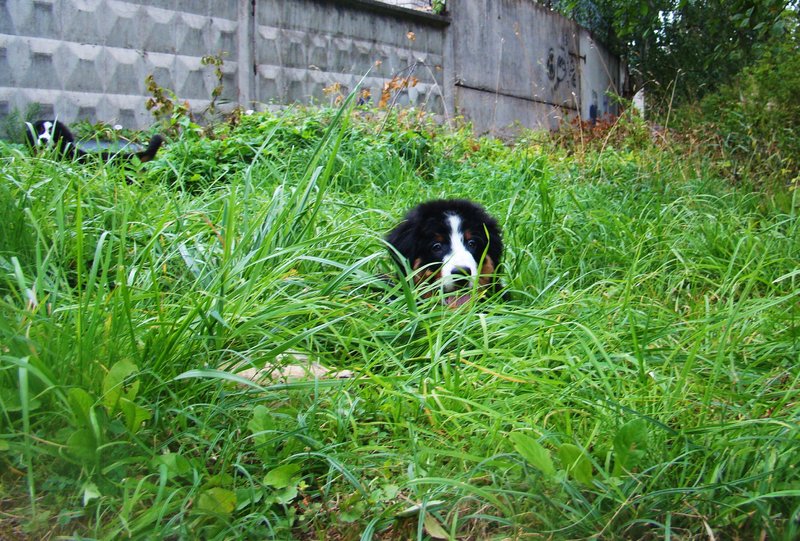 DSC05933.JPG