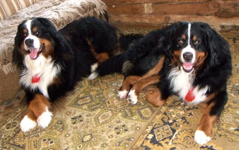 DSC060031.jpg