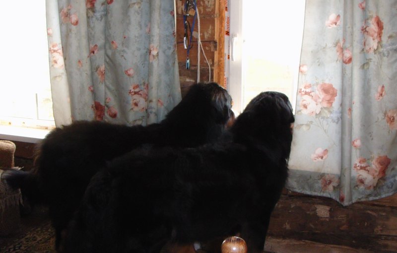 DSC06084.JPG