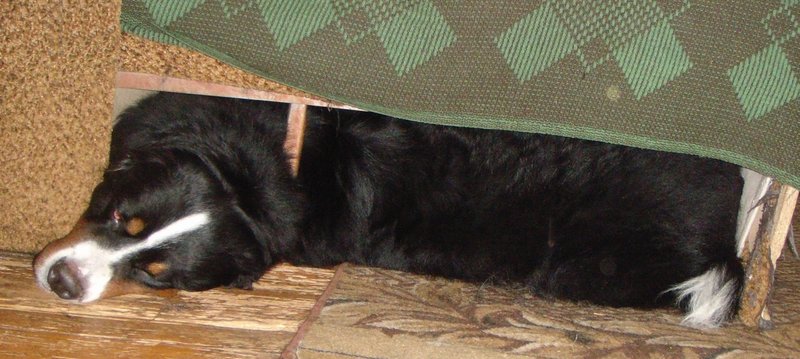 DSC06176.JPG