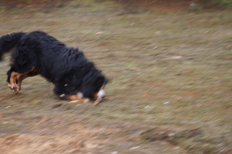 DSC07436.JPG