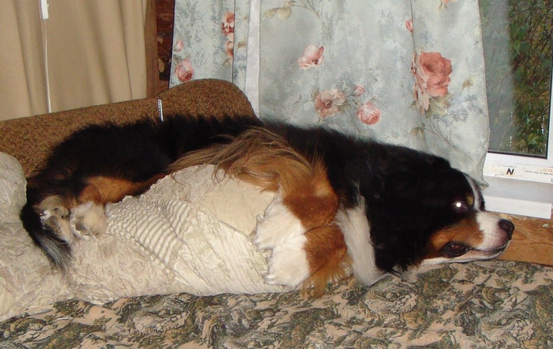 DSC07791.JPG