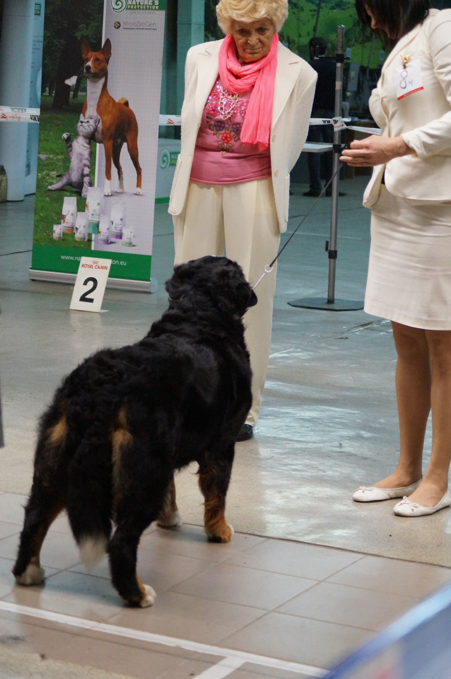 DSC08060.JPG
