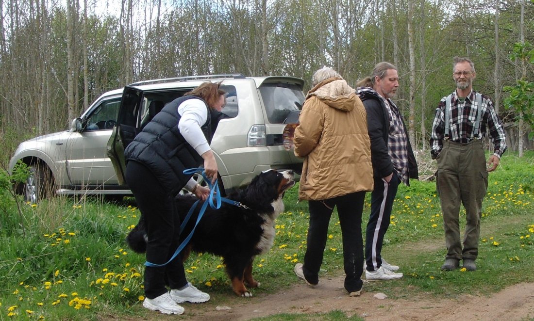 DSC08563.JPG