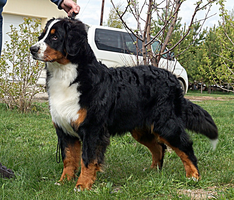 DSC09024.JPG