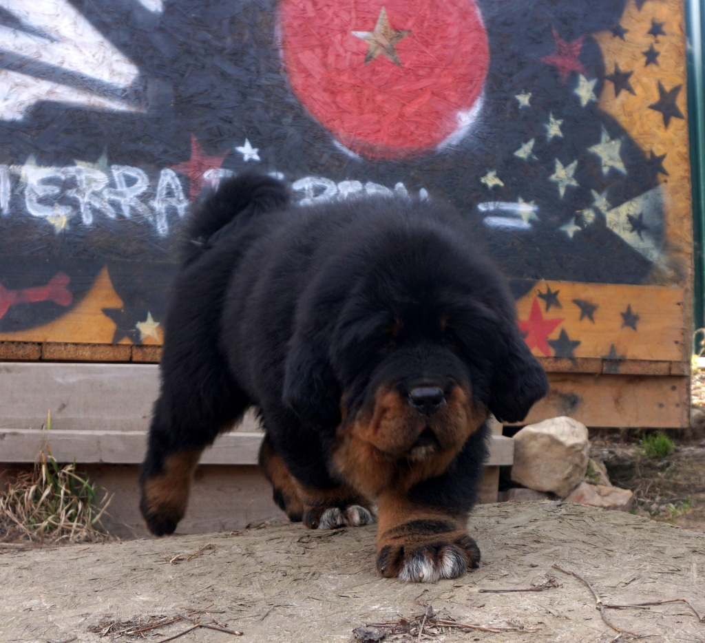 DSC09265.JPG