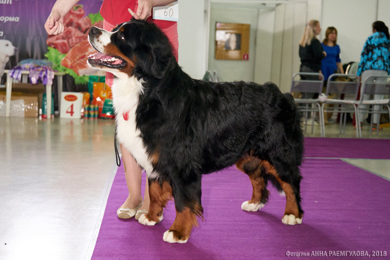 DSC09882 копия.jpg