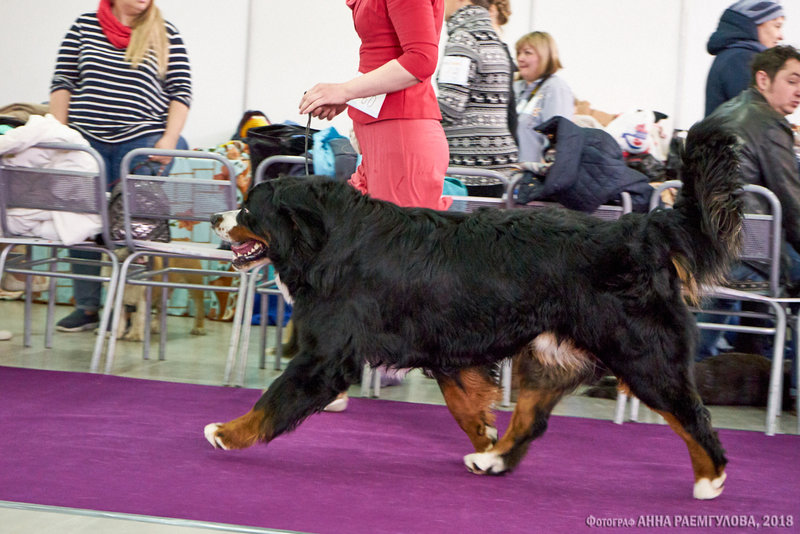 DSC09917 копия.jpg