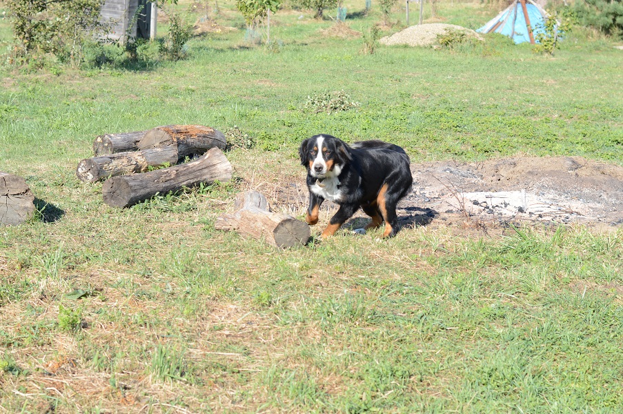 DSC_0013.JPG