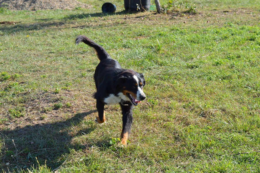 DSC_0021.JPG