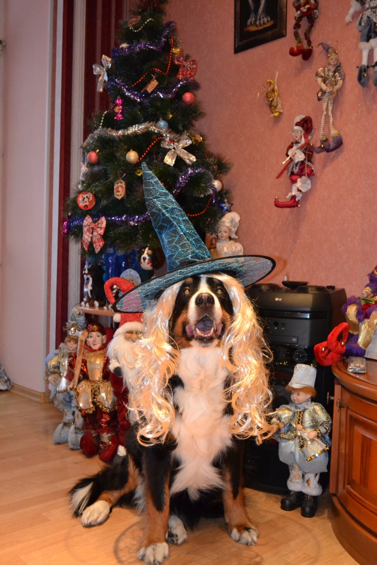 DSC_0047.JPG
