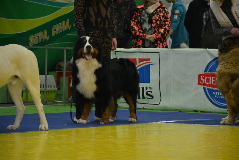DSC_0048.JPG