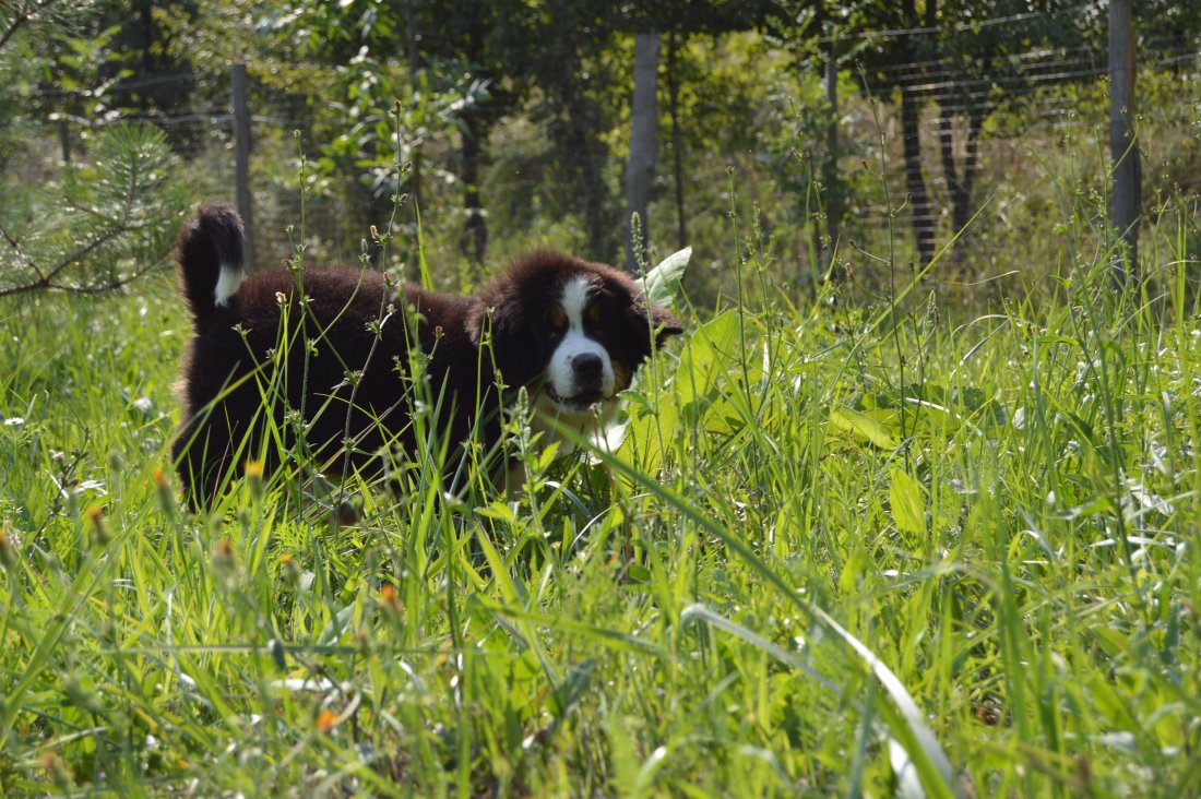 DSC_0072.JPG