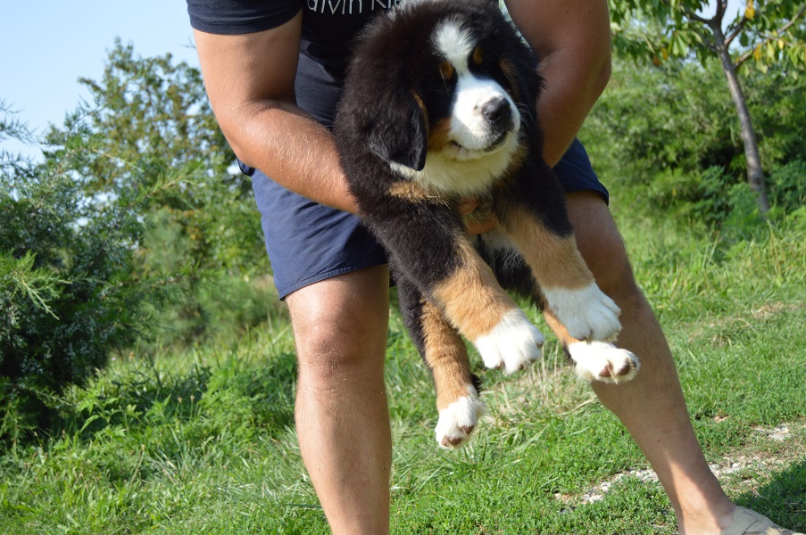 DSC_0111.JPG