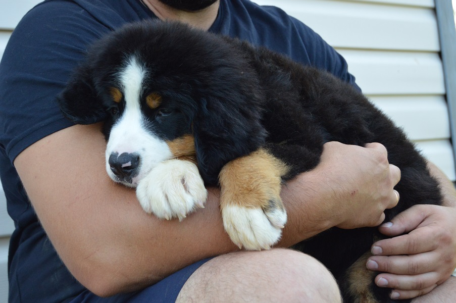 DSC_0164.JPG