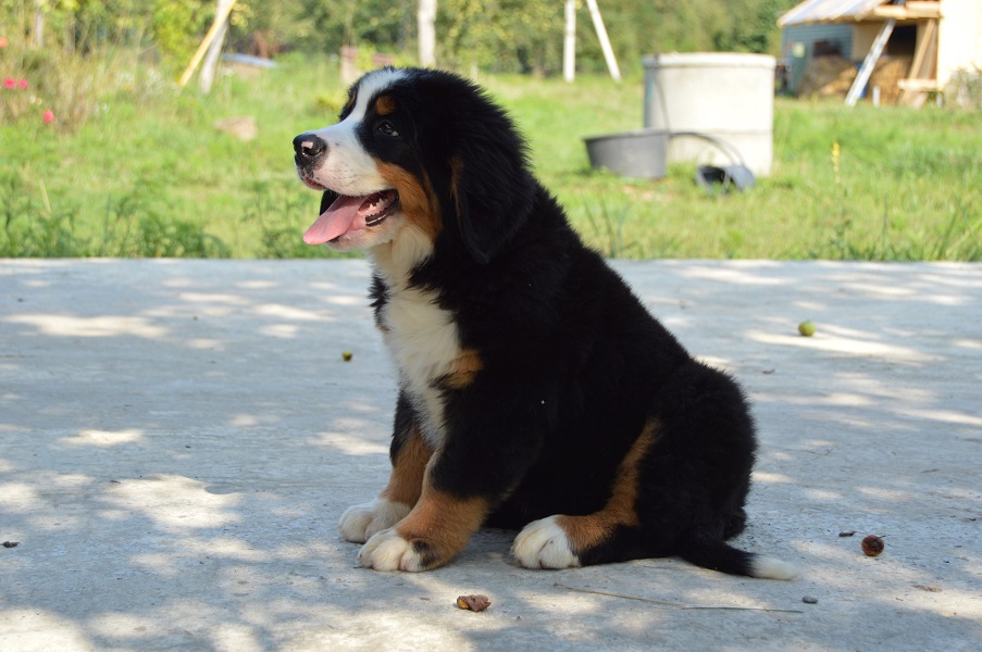 DSC_0357.JPG