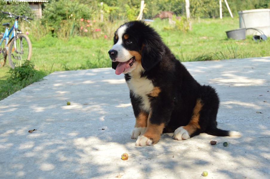 DSC_0384.JPG