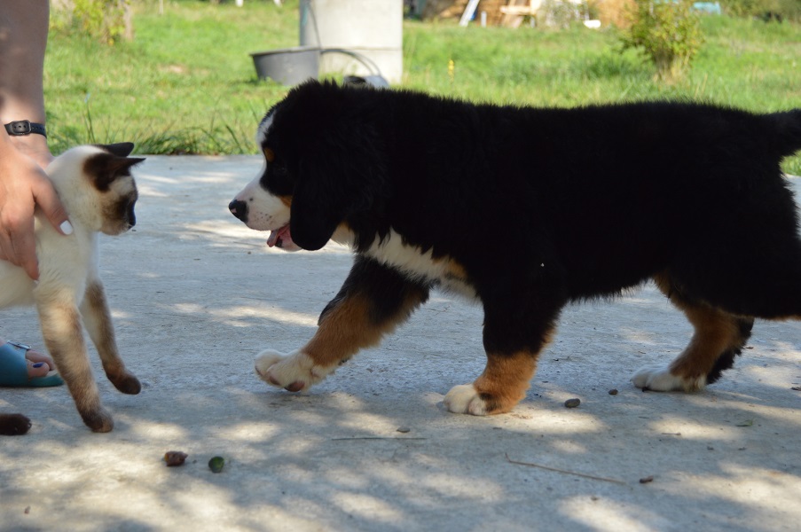 DSC_0387.JPG